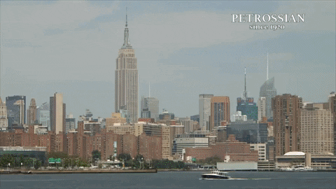 new york travel GIF by Petrossian