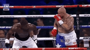 toprank fight boxing fighting espn GIF