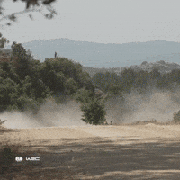 Fast Car Toyota GIF by FIA World Rally Championship