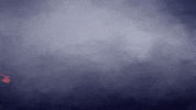 gabrielabran gabrielabran GIF