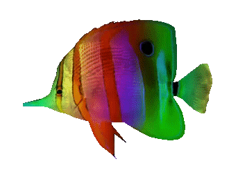 Haus Des Meeres Party Sticker by Haus des Meeres Aqua Terra Zoo