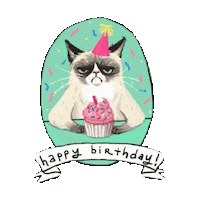 Celebrating Happy Birthday Sticker by imoji
