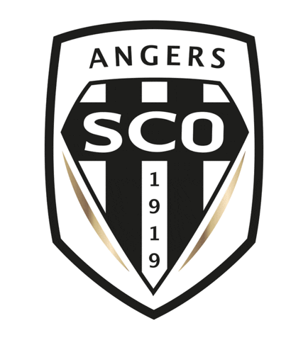 Football Sport Sticker by Ligue 1