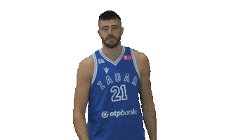 Basketball Love Sticker by KK Zadar