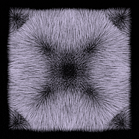 black and white love GIF by roberthruska