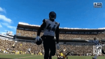 Jacksonville Jaguars Football GIF by NFL