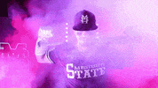 Baseball Hype GIF by NCAA Championships