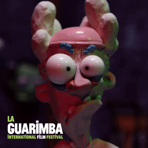 Oh My God Wtf GIF by La Guarimba Film Festival