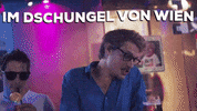 Zweimann party cheers prost vienna GIF