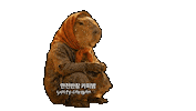Capybara Beggar Sticker
