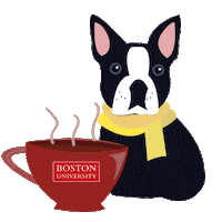 Boston U Bu Sticker by Boston University