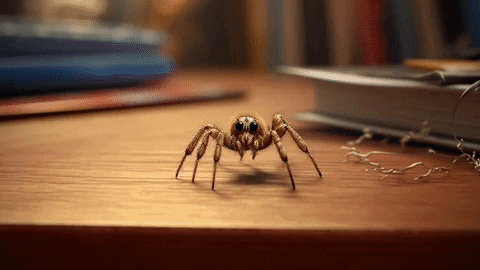 linar_f giphyupload GIF