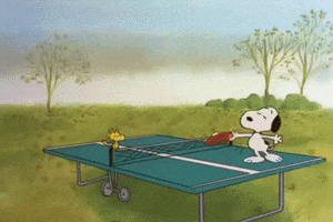 charlie brown thanksgiving GIF by Peanuts