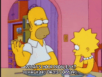 Season 4 Episode 20 GIF by The Simpsons