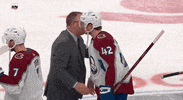 Ice Hockey Sport GIF by NHL