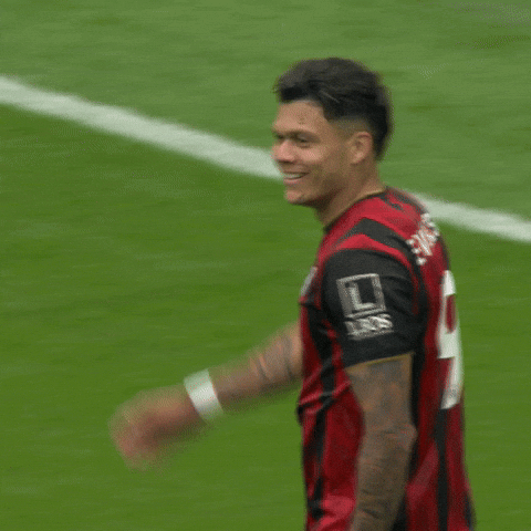Happy Premier League GIF by AFC Bournemouth