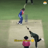 Indian Cricket GIF