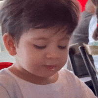 Funny Reaction GIF