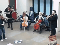 GIF by Demic