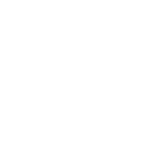 Wishing Flying Pig Sticker by PositivelyPigasus