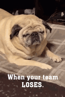 vicprrodriguez giphyupload GIF