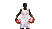 Bcl Basketbal Sticker by Basketball Nymburk