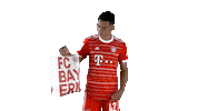 Football Soccer Sticker by FC Bayern Munich