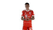 Football Soccer Sticker by FC Bayern Munich
