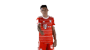 Football Thumbs Up Sticker by FC Bayern Munich
