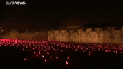 Great War GIF by euronews