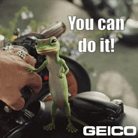 You Can Do It GIF by GEICO