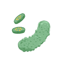 AlixN summer hotdog gardening vegetable Sticker