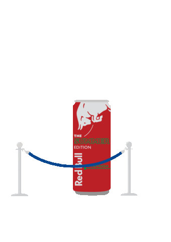 Friends Summer Sticker by Red Bull