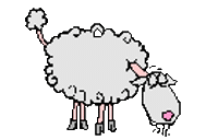 sheep Sticker