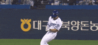 야구 GIF