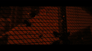 Charlotte Lawrence - Joke's On You