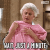 Golden Girls Rose GIF by TV Land