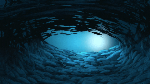 cutoutanimationstudio giphyupload animation underwater motion design GIF