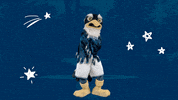 Sammy GIF by UNCW Alumni Association