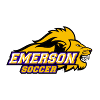 Ncaa Sports Logo Sticker by Emerson College Men's Soccer