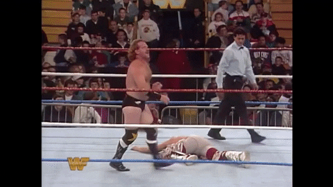 Survivor Series Wwe GIF by Martin Mandela Morrow