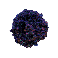 3D Changing Sticker by Vince Mckelvie