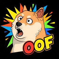Shiba Inu Wow GIF by Doge Pound