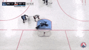 GIF by Milwaukee Admirals