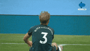 Premier League England GIF by MolaTV