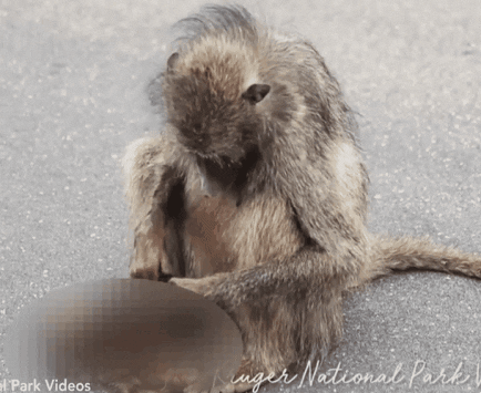 yoonjungnam giphyupload GIF