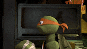 ninja turtles cats GIF by Teenage Mutant Ninja Turtles