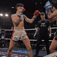 Muay Thai Knockout GIF by Fight Record
