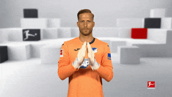 Tsg Hoffenheim Football GIF by Bundesliga