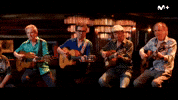 Musica Concierto GIF by Movistar Plus+